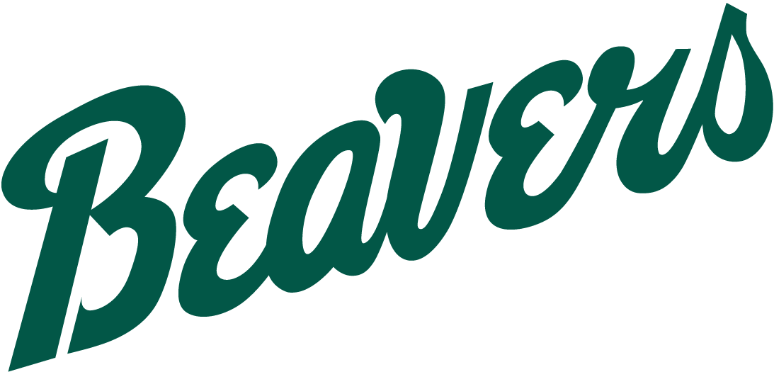 Bemidji State Beavers 2004-Pres Wordmark Logo t shirts iron on transfers